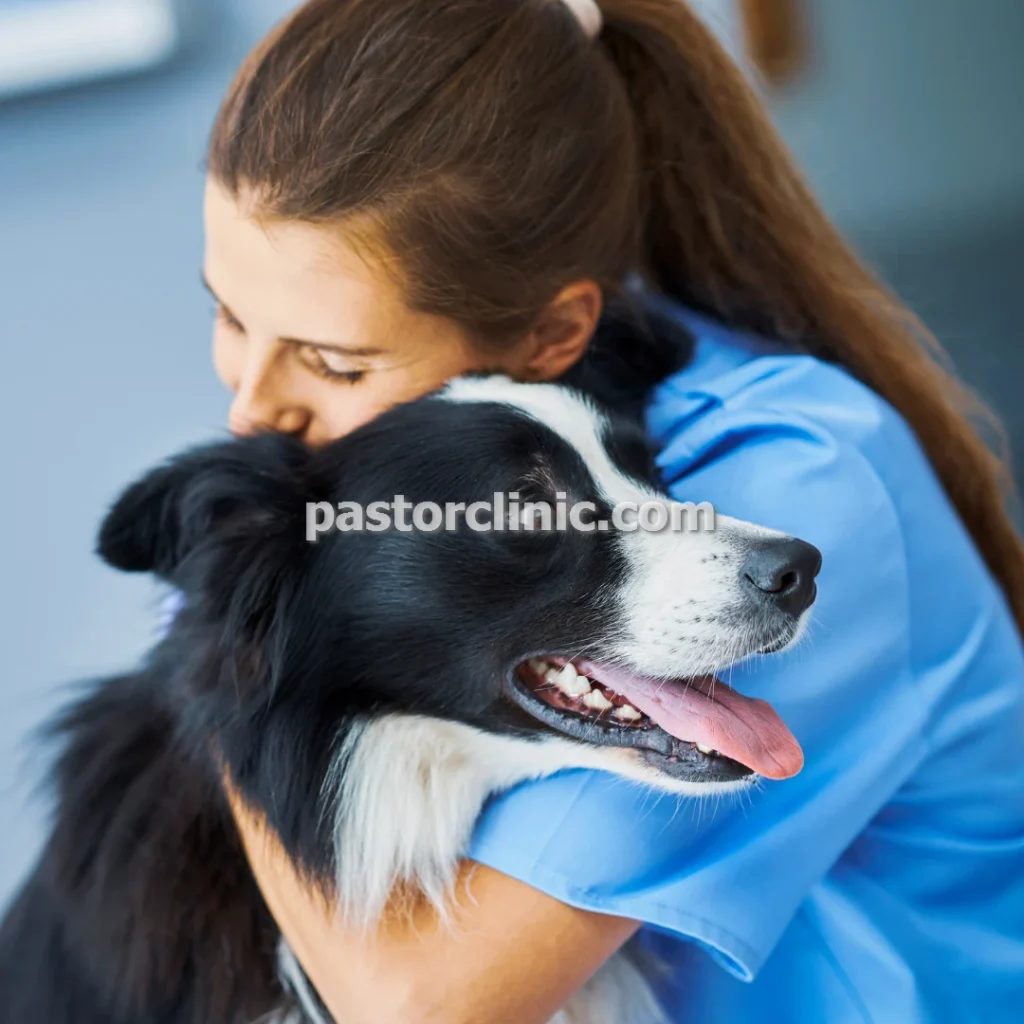 پاستور خدمات کلینیک دامپزشکی با واکسیناسیون حیوانات در مشهد جلالیه